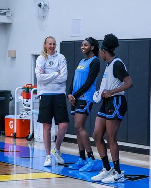 Image post by @chicagosky on Instagram