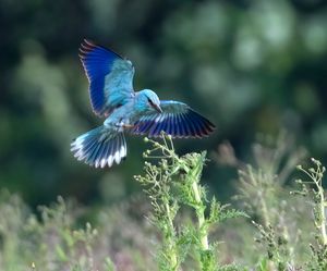 Image post by @rspb on Instagram