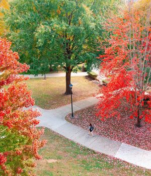 Image post by @marshallu on Instagram