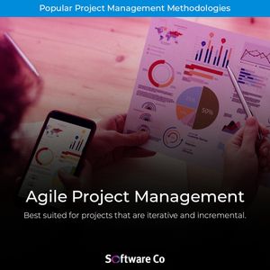 Image post by @softwareco on Instagram