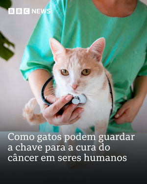 Image post by @bbcbrasil on Instagram