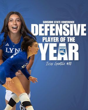 Image post by @lynnvolleyball on Instagram