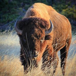 Image post by @nationalparkservice on Instagram