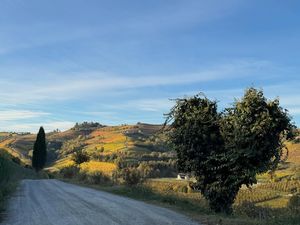Image post by @villagarassino on Instagram