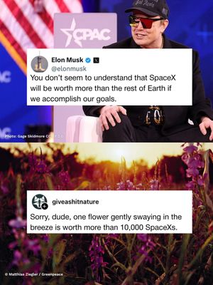 Image post by @greenpeaceusa on Instagram
