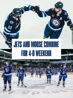 Image post by @manitobamoose on Instagram