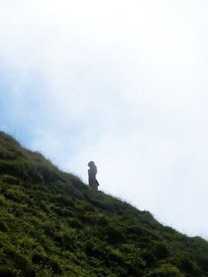 Image post by @brookedhondt on Instagram