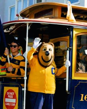 Image post by @cal_football on Instagram