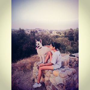 Image post by @sarahsalahpour on Instagram