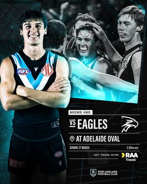 Image post by @PAFC on Twitter