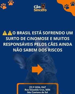 Image post by @adestradores.caosincero on Instagram