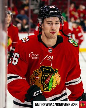 Image post by @NHL on Twitter