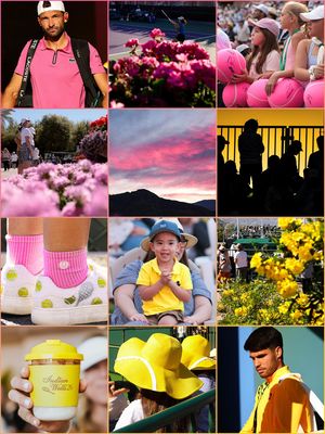 Image post by @bnpparibasopen on Instagram