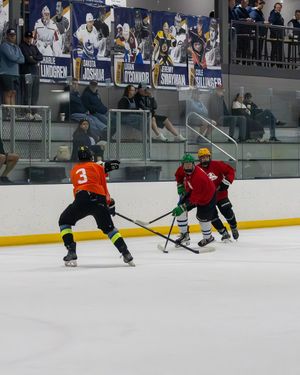 Image post by @sfstampede on Instagram