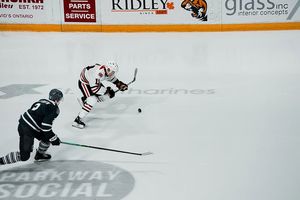 Image post by @ohlicedogs on Instagram