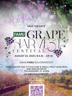 Image post by @famu_1887 on Instagram