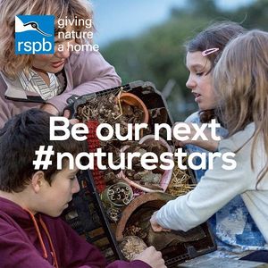 Image post by @rspb on Instagram
