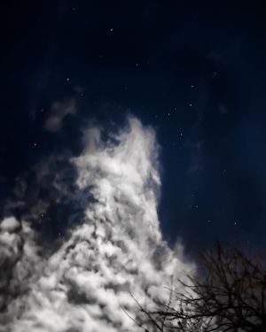Image post by @alexdebuhrphoto on Instagram