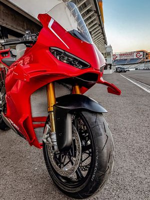 Image post by @panigalers on Instagram