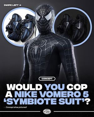 Image post by @insanesneaker on Instagram