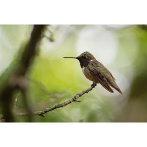 Image post by @jessebrunerphoto on Instagram