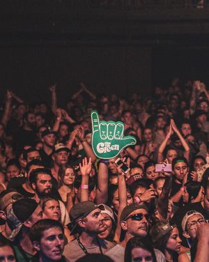Image post by @thegreen808 on Instagram