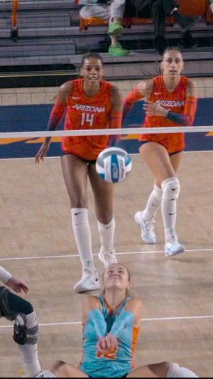 Image post by @utepvb on Instagram