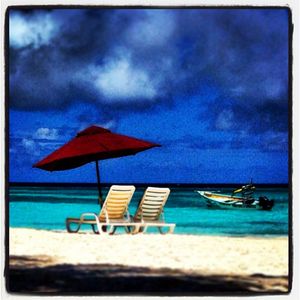 Image post by @ralph_trionfo on Instagram