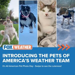 Image post by @foxweather on Instagram
