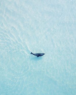 Image post by @droneartgallery on Instagram