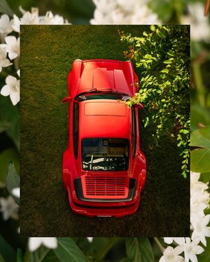 Image post by @summerc.5 on Instagram