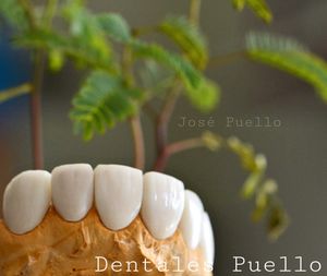 Image post by @josegabrielpuello on Instagram