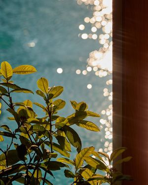 Image post by @mo_hotels on Instagram