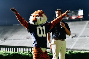Image post by @aubiethetiger01 on Instagram
