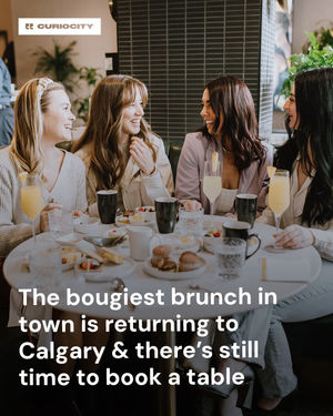 Image post by @curiocitycalgary on Instagram