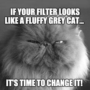 Image post by @thigpenac on Facebook