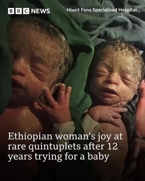 Image post by @bbcnews on Instagram