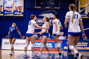 Image post by @hofstravb on Instagram