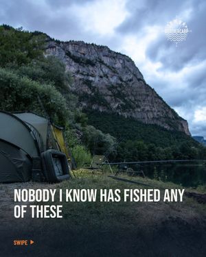 Image post by @brothercarp on Instagram