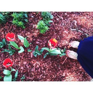 Image post by @catcatoura on Instagram