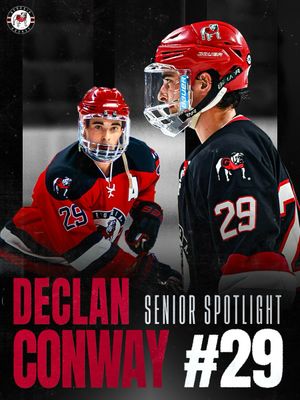 Image post by @ugahockey on Instagram