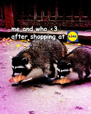 Image post by @lidlus on Instagram