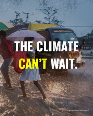 Image post by @greenpeace on Instagram