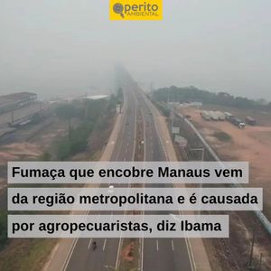 Image post by @operitoambiental on Instagram