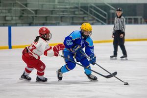 Image post by @nghlhockey on Instagram