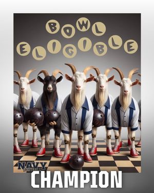 Image post by @bowlseason on Instagram