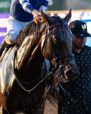 Image post by @breederscup on Instagram