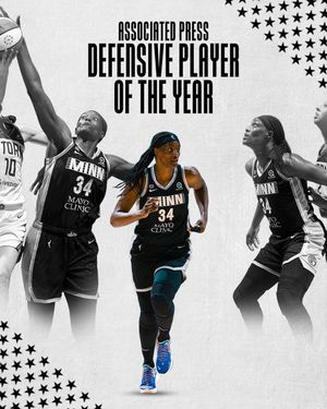Image post by @minnesotalynx on Instagram