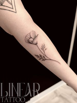 Image post by @christina.lineartattoo on Instagram