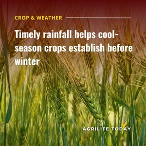 Image post by @txextension on Instagram